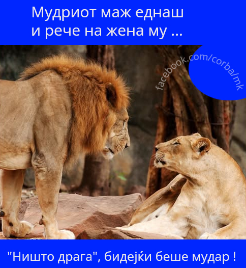 Односите меѓу мажот и жената не се едноставни