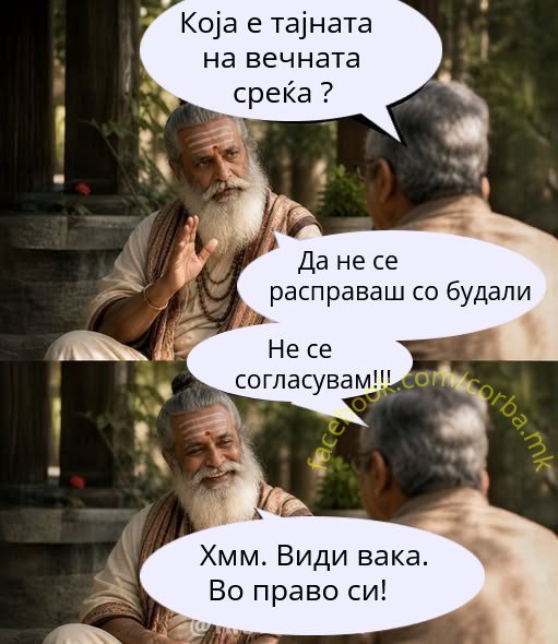 Мудрецу сакам да ве прашам нешто