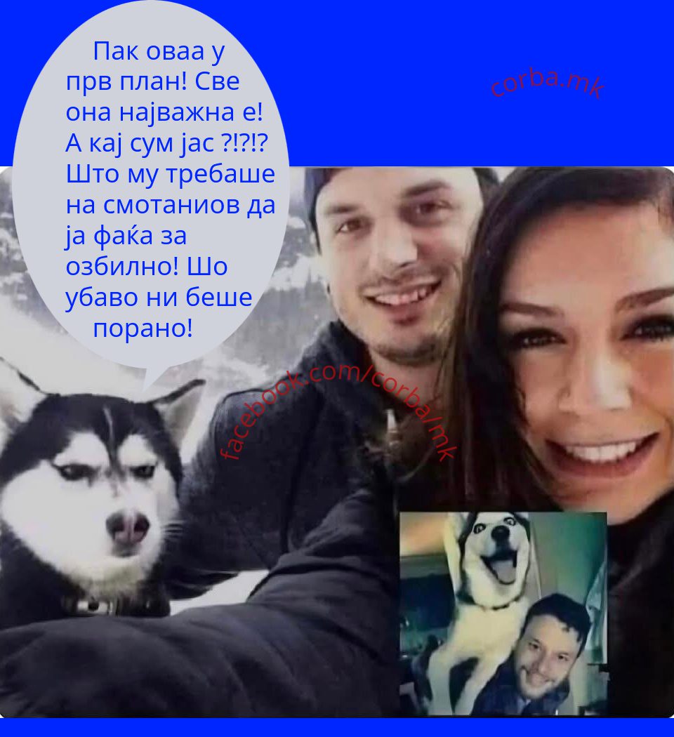 И кучињата се љубоморни