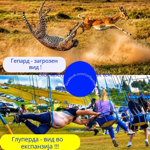 Загрозен вид вс вид во експанзија