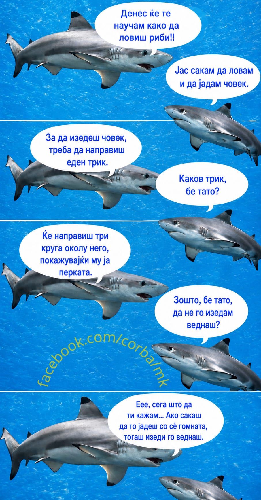 Таткото го учи синот да лови, ама синот е џимрија