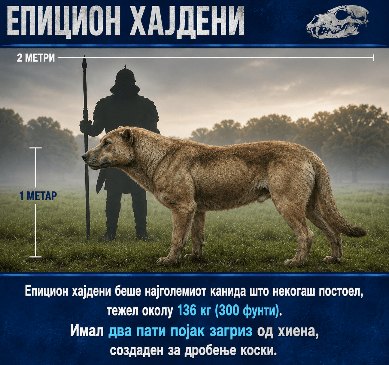 Епицион – Џиновското праисториско куче кое владеело со Северна Америка
