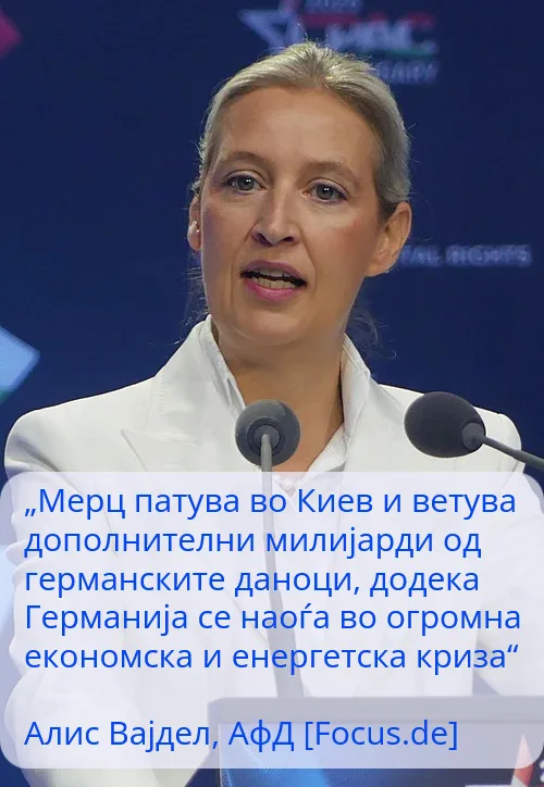 Што велат светските медиуми за расправата во Бундестагот, говорите на пратениците и растот на АфД од оваа ситуација?